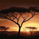 Africa Панно P2-2D210 40х40 (из 2 плиток)