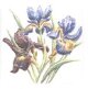 Оранжерея Декор Ирисы TFA014 9,9х9,9