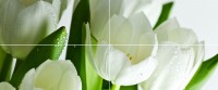 Arco Verde Tulipan Панно (из 4-х пл.) 50x120