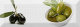 Olives 02 Fluor Decor Декор 10x30