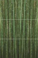Bambu  Панно (из 3-х плиток ) A/B/C 50х75