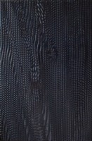Агама черная Плитка настенная 06-01-04-156 20х30 (Питер)