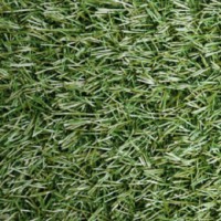 Искусственная трава Erba 7000 Green (4м)  - С-000114620