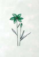 Декор нзкм Цветы зеленый (200х300мм), 16шт в уп. - С-000114364