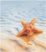 Dec Starfish 1 Panno (панно из 2-х шт) КПН16Starfish1 50х45