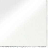 Панель WP ПВХ белая глянцевая 250х3000х8 мм (0,750 кв. м, в уп. 10 шт.) - С-000055009