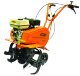 Культиватор бензиновый Prorab GT 55 B