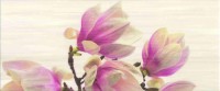 Sensa magnolia bis Декор 25x60