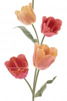 Tulips Calidos  Панно (из 3-х плиток ) 50х75